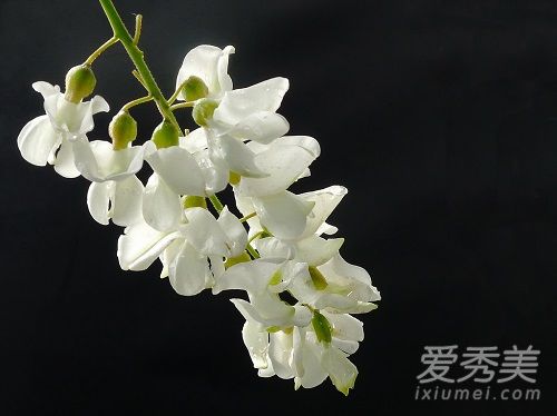 �ɻ�����ô��ɹ �ɻ�����ô���ó�