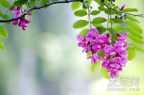 �ɻ�����ô��ɹ �ɻ�����ô���ó�