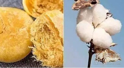 肉松饼里有棉花是不是真的 肉松饼里的肉松是什么做的