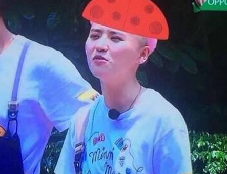 ���������Ž�����ͷ����ô�� ������Ϊʲô��������ư��ñ��