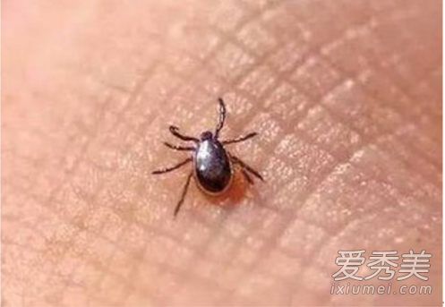 ������ҧ��ɥ�� �������� ������ҧ��Ҫ��ô����