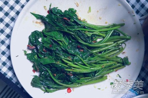 �����ʲôֲ���Ҷ�� ��ⳤʲô��