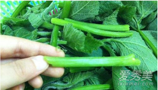 �Ϲ���Ҷ�ӿ��Գ��� �Ϲ�Ҷ�Ĺ�Ч������