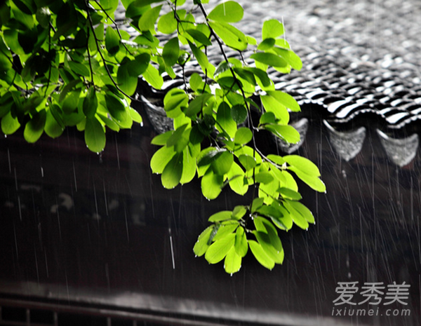 ÷��Ϊʲô��÷�� ÷������÷������÷