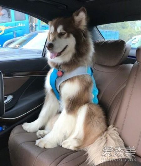 ˼ϵĹô ˼ϰѰ