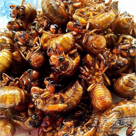 ֪�˳�����˻��ܳ��� ֪���и����Գ���