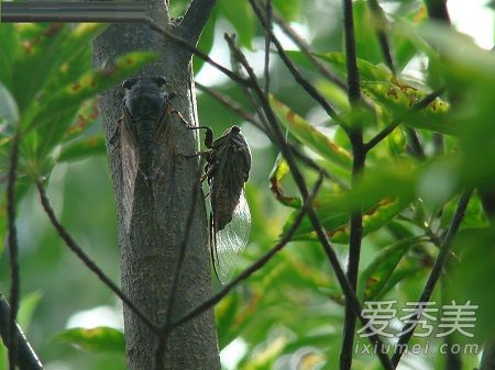 ֪�˳�����˻��ܳ��� ֪���и����Գ���