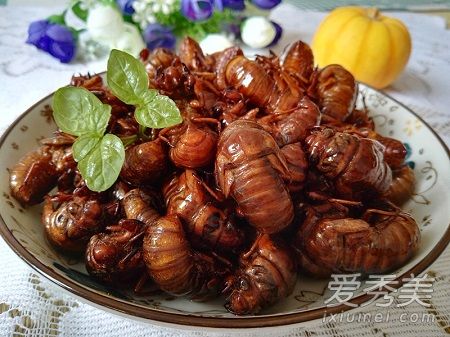 ֪�˳�����˻��ܳ��� ֪���и����Գ���