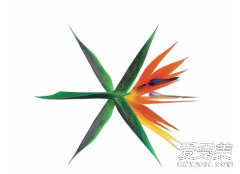 exokokobopʲô˼ exoרlogoΪʲô8ƬҶ