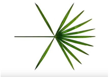 exokokobopʲô˼ exoרlogoΪʲô8ƬҶ