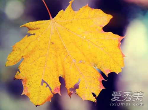 2017年什么时候入秋 2017年入秋时间