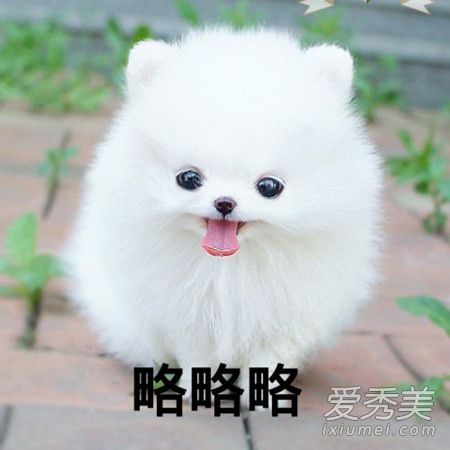 ʲô˼ ʲô