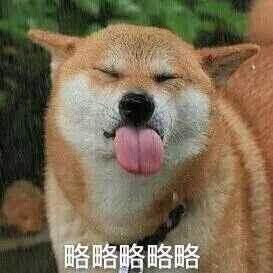 ʲô˼ ʲô
