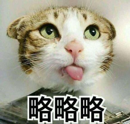 ʲô˼ ʲô