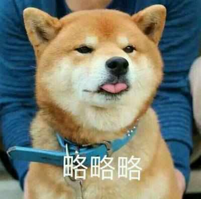 ʲô˼ ʲô