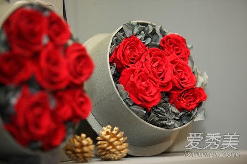 roseonlyԱ roseonlyǮ