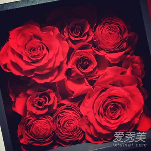 roseonlyԱ roseonlyǮ