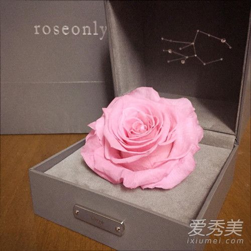 roseonlyԱ roseonlyǮ