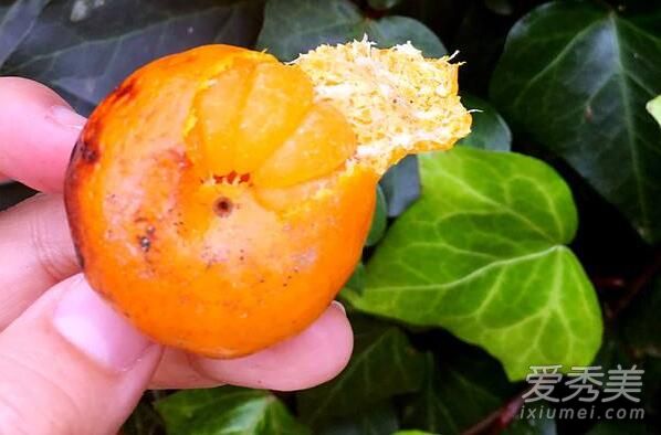 �������ʺ�ʲô���� �������ο�����ô�ԱȽϺ�