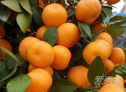 �������ʺ�ʲô���� �������ο�����ô�ԱȽϺ�