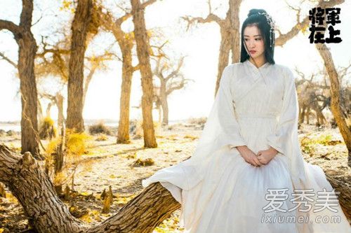 将军在上柳惜音和叶昭什么关系?柳惜音恨叶昭吗
