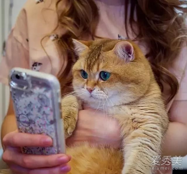 ��è���л���԰è�� ��è��ʲôƷ��