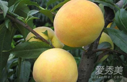 黄桃可以多吃吗 黄桃吃多了会怎样