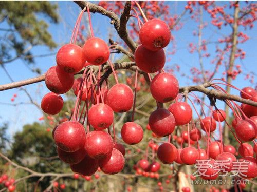 ɳ���ͺ��Ĺ������� ɳ���ͺ��Ĺ��ĸ�����Ӫ��