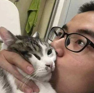 ��è��ʲô�� ��è��ʲô��˼