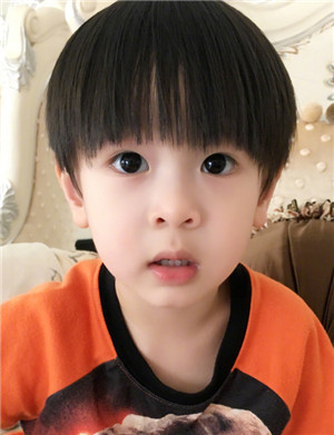 ������������Ө���� �������ŵĵ�����Ƭ