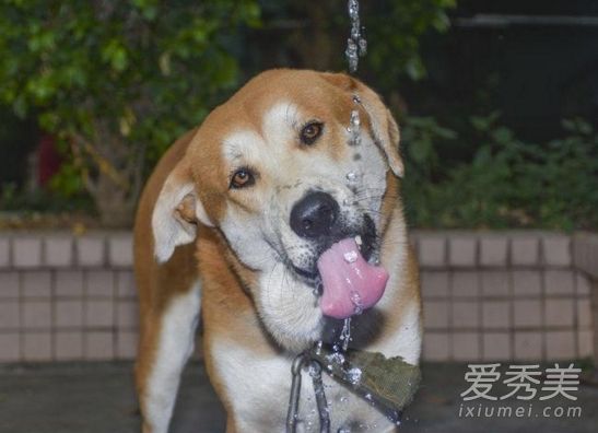 Ů��˵����ˮʲô��˼ ����ˮʲô��˼