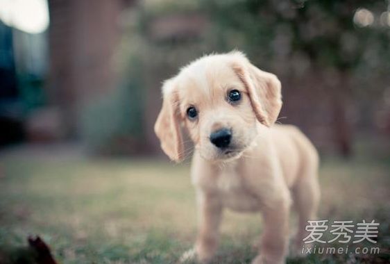 Ů��˵����ˮʲô��˼ ����ˮʲô��˼