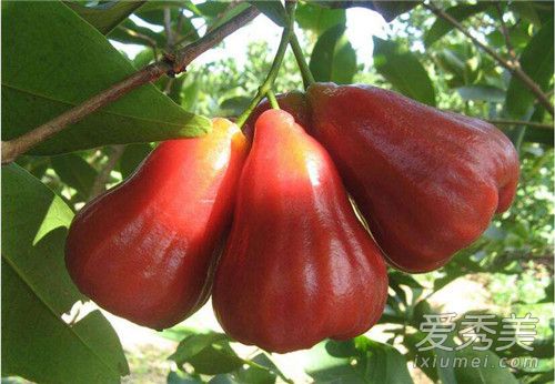 Խ�Ϻڽ�������Ĺ�Ч������ Խ�Ϻڽ�������и����Գ���