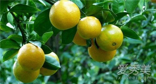 �ʵ۸��ϻ��ǽ��� �ʵ۸���ô��ѡ