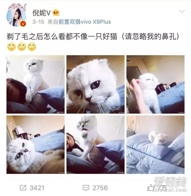 ���ݹ����ҷ���������Űè ����Űè����ô����