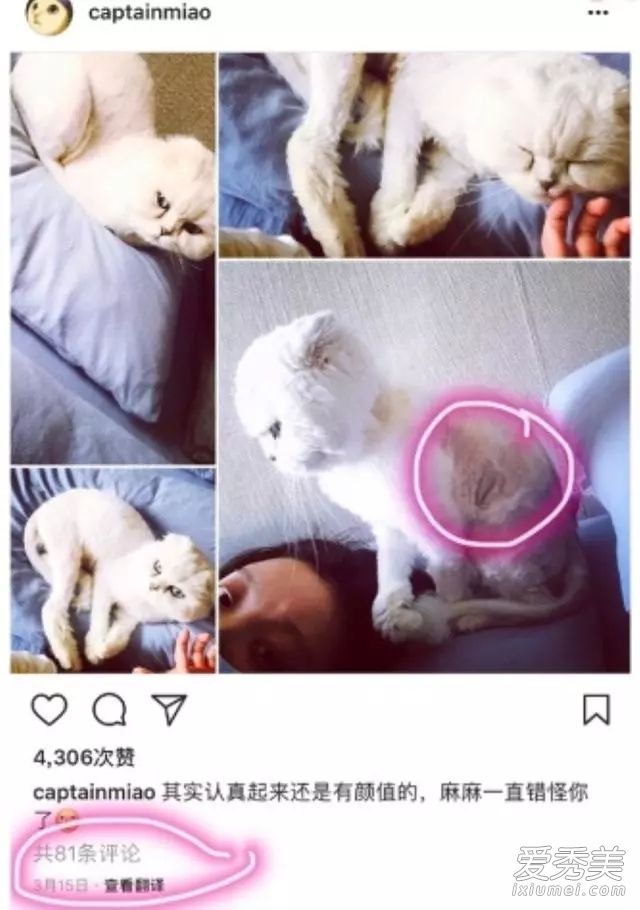 ���ݹ����ҷ���������Űè ����Űè����ô����