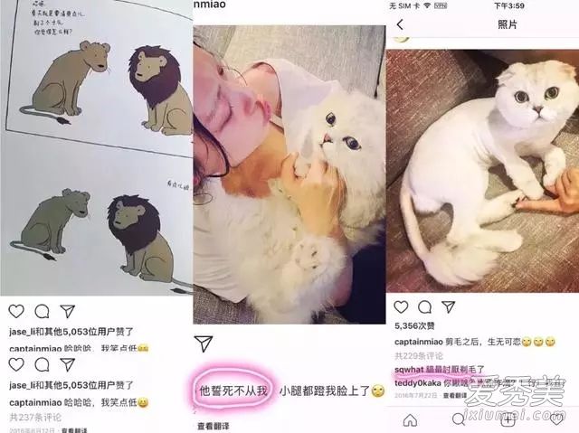���ݹ����ҷ���������Űè ����Űè����ô����