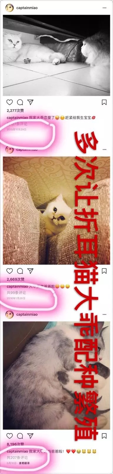 ���ݹ����ҷ���������Űè ����Űè����ô����