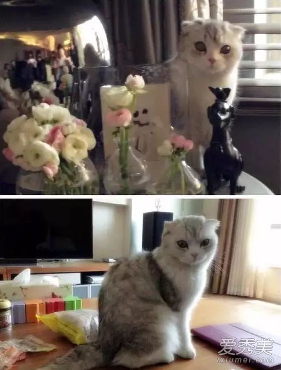 ���ݹ����ҷ���������Űè ����Űè����ô����