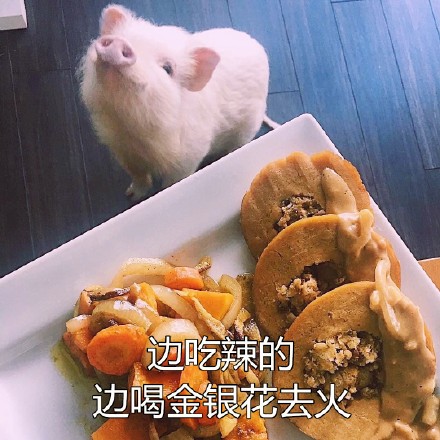 Ůʲô˼ Ů15