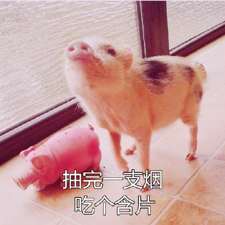 Ůʲô˼ Ů15