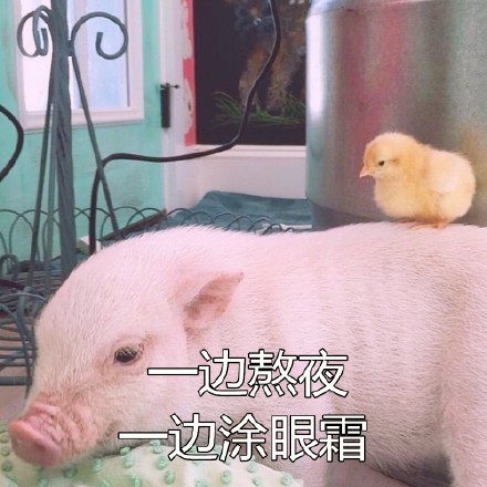 Ůʲô˼ Ů15