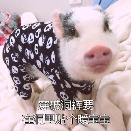 Ůʲô˼ Ů15