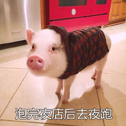 Ůʲô˼ Ů15