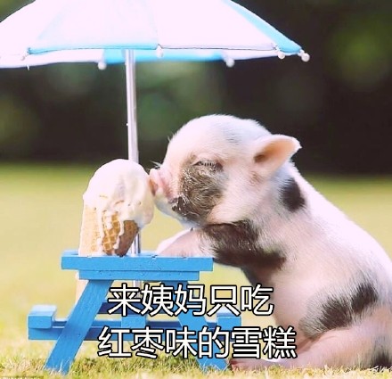 Ůʲô˼ Ů15