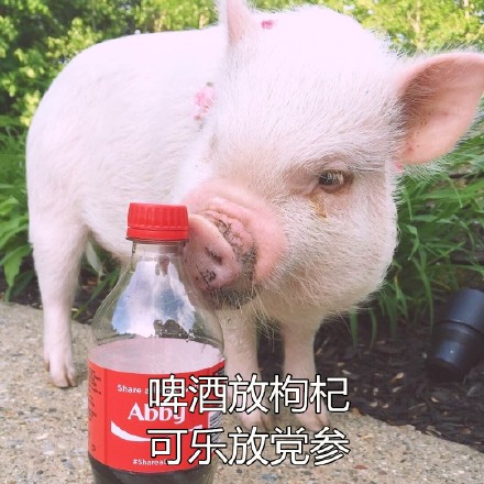 Ůʲô˼ Ů15