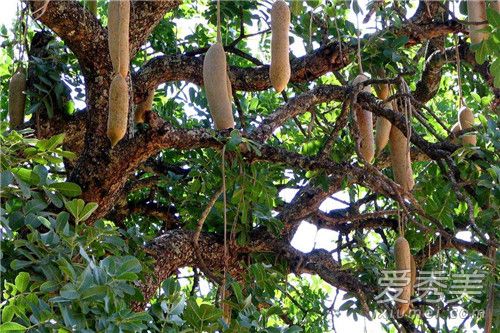 ���������ʵ������ ���������ʵ�ó���