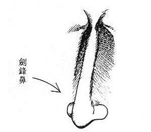 克夫相女人标准图片 克夫相女人怎么破解