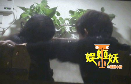 ���Ƶ��������ع�����ô���� ���Ƶ���Ů����˭��Ƭ���Ͻ���