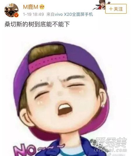 鹿晗下树了是什么意思 桑切斯下树了是什么梗